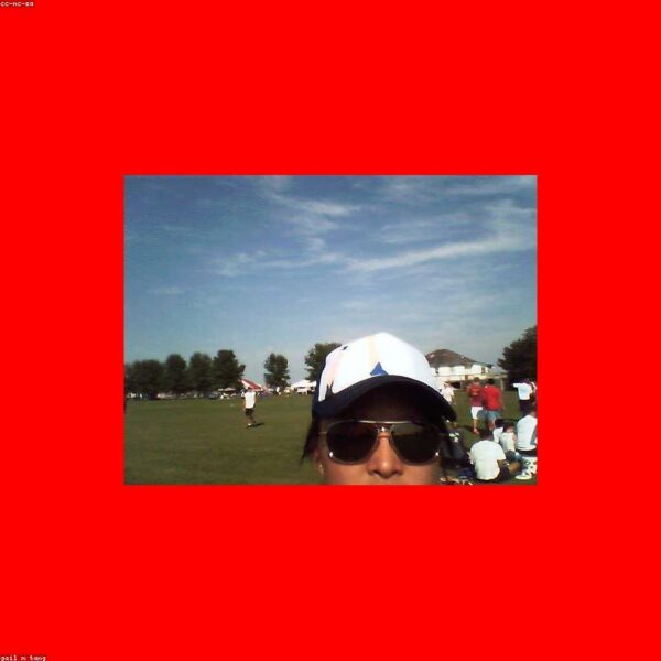 Aviator Sunglasses